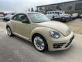 Volkswagen Beetle Final Edition Leder Panorama Fender Beżowy - thumbnail 1