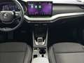 Skoda Octavia Selection TDI DSG Grau - thumbnail 10