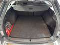 Skoda Octavia Selection TDI DSG Grau - thumbnail 15