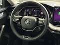 Skoda Octavia Selection TDI DSG Grau - thumbnail 8
