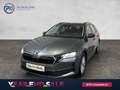 Skoda Octavia Selection TDI DSG Grau - thumbnail 1