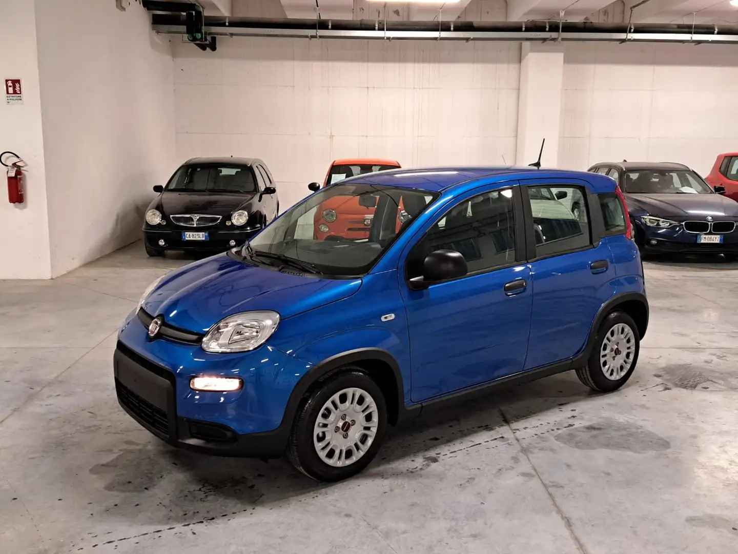 Fiat New Panda 1000 FireFly Hybrid 70CV ""Panda"" 5 Porte *Km. 0* Bleu - 1