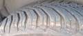 Fiat Doblo MAXI 1.6 MULTIJET 16V 105CV SX Blanc - thumbnail 22