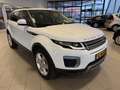Land Rover Range Rover Evoque 2.0 Si 4WD Dynamic Weiß - thumbnail 2