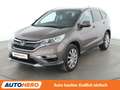 Honda CR-V 1.6 DTEC Executive 4WD Aut.*NAVI*CAM*LIM* Braun - thumbnail 1
