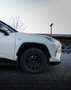 Toyota RAV 4 RAV4 2,5 Hybrid AWD-i Weiß - thumbnail 7