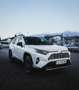 Toyota RAV 4 RAV4 2,5 Hybrid AWD-i Weiß - thumbnail 2