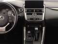 Lexus NX 300 300 Hybrid 4WD Sport Bianco - thumbnail 10