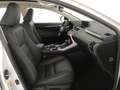 Lexus NX 300 300 Hybrid 4WD Sport Bianco - thumbnail 4