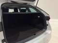Skoda Octavia 2.0 TDI EVO SCR 150 CV DSG Wagon Executive Bianco - thumbnail 13