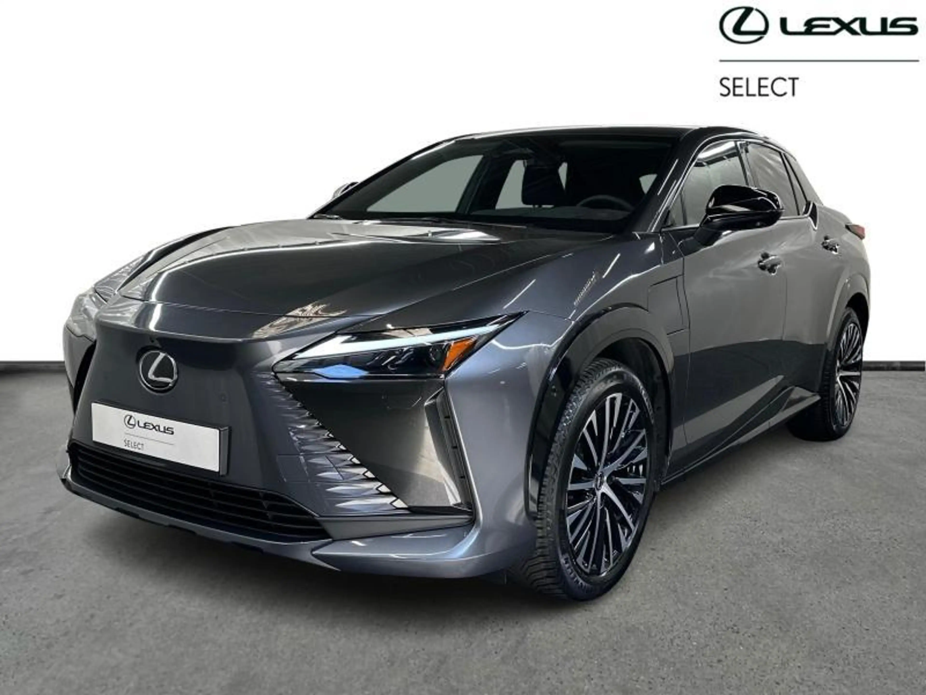 Lexus RZ Privilege Line