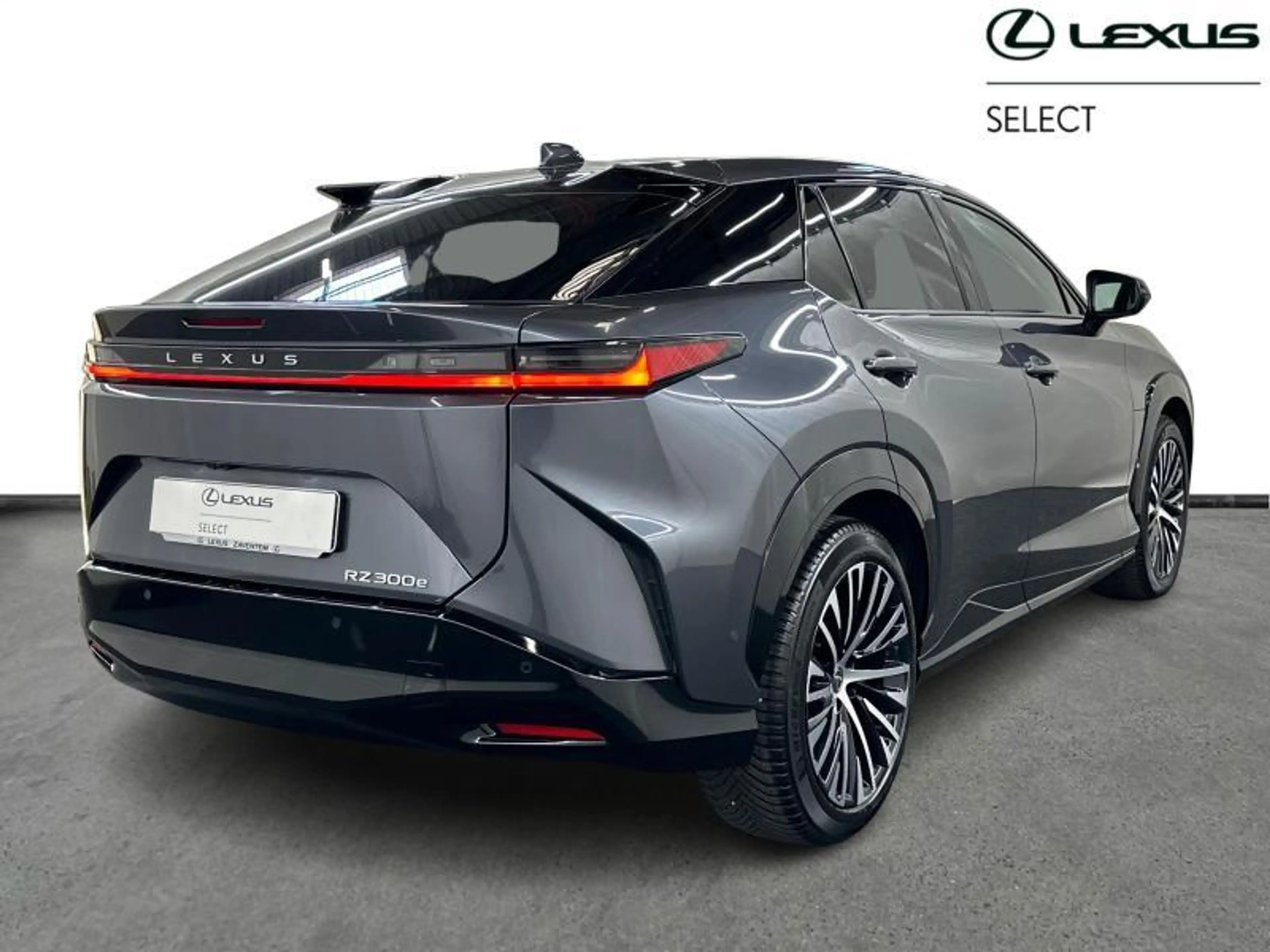 Lexus RZ Privilege Line — photo 15