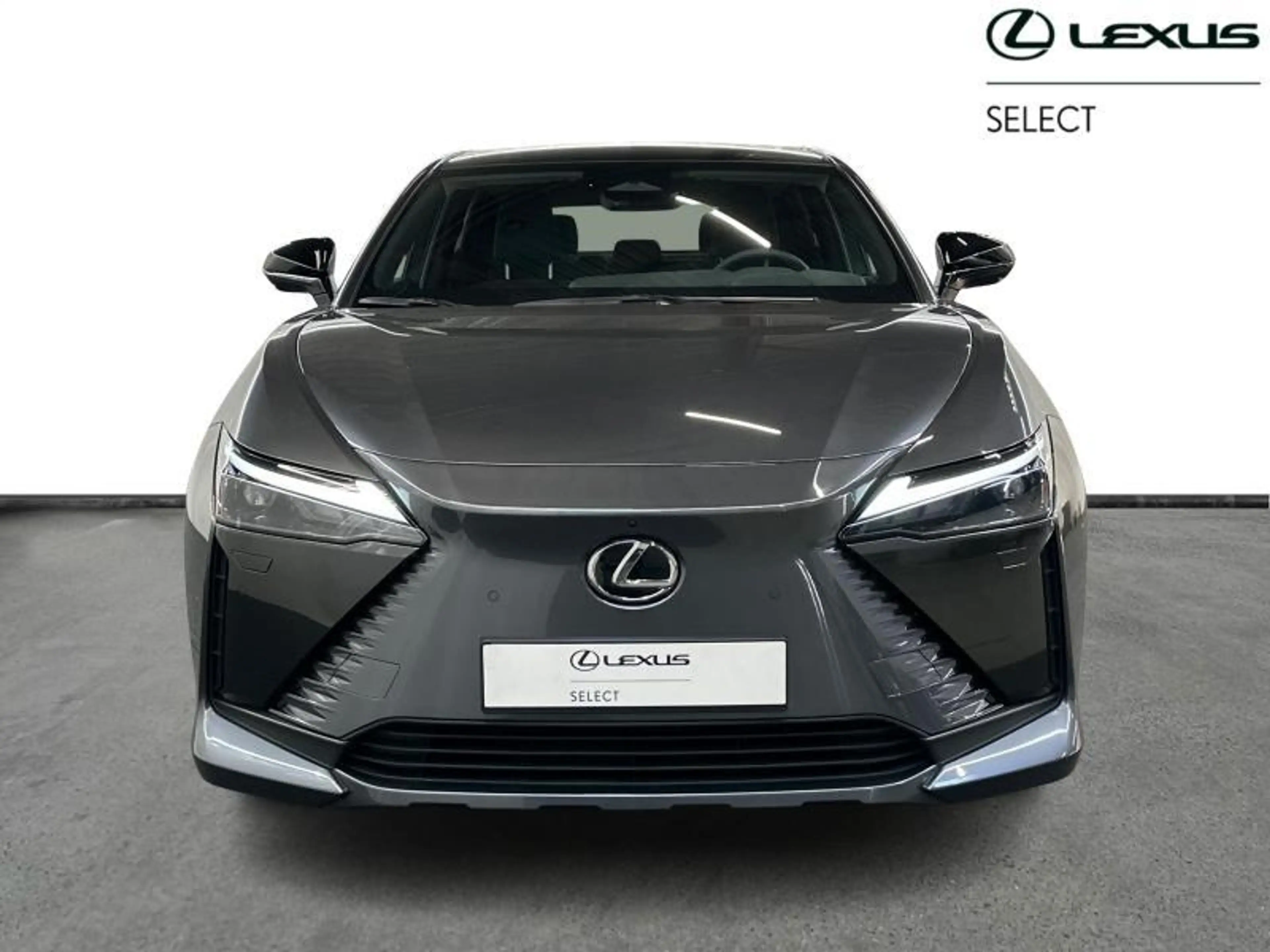 Lexus RZ Privilege Line — photo 5