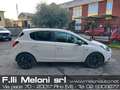 Opel Corsa Corsa 5porte 1.2 b-Color☎️338-4903943 Bianco - thumbnail 4