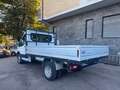 Ford Transit cassone fisso gemellato anno 2021 euro 6d tenp Blanc - thumbnail 10