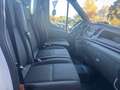 Ford Transit cassone fisso gemellato anno 2021 euro 6d tenp Blanc - thumbnail 12