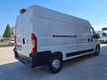 Fiat Ducato Maxi 35 2.3 MJT 150CV L3H2 Wit - thumbnail 5