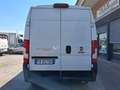 Fiat Ducato Maxi 35 2.3 MJT 150CV L3H2 Wit - thumbnail 8