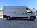 Fiat Ducato Maxi 35 2.3 MJT 150CV L3H2 Wit - thumbnail 4
