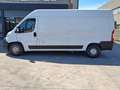 Fiat Ducato Maxi 35 2.3 MJT 150CV L3H2 Wit - thumbnail 7