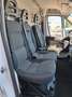 Fiat Ducato Maxi 35 2.3 MJT 150CV L3H2 Wit - thumbnail 14