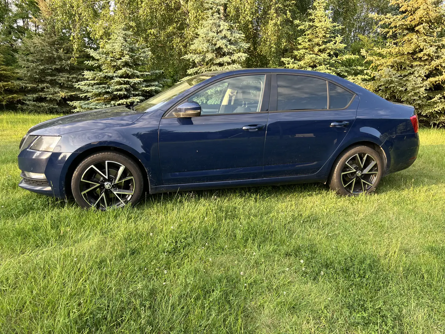 Skoda Octavia 1.6 TDI Ambition - 2