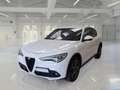 Alfa Romeo Stelvio 2.2 TD 190 CV Sprint AT8 Q4 - thumbnail 1