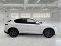 Alfa Romeo Stelvio 2.2 TD 190 CV Sprint AT8 Q4 - thumbnail 3