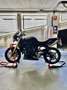Triumph Street Triple 675 - thumbnail 3