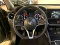 Alfa Romeo Stelvio 2.2 Turbo Diesel 190CV AT8 RWD Business Gris - thumbnail 12