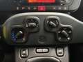 Fiat Panda 1.2 Easy- NEOPAT. - UNICO PROP.- IVA ESP Grau - thumbnail 14