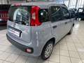 Fiat Panda 1.2 Easy- NEOPAT. - UNICO PROP.- IVA ESP Grau - thumbnail 3