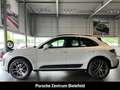 Porsche Macan Panorama Rückfahrkamera LED-Scheinwerfer Weiß - thumbnail 2