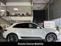 Porsche Macan Panorama Rückfahrkamera LED-Scheinwerfer Weiß - thumbnail 4