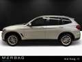 BMW X3 xDrive20i Business Advantage Argintiu - thumbnail 6