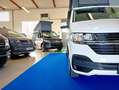 Volkswagen T6 California BEACH CAMPER MY2024 FIAMMA GANCIO PRONTA CONSEGNA Bianco - thumbnail 18