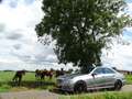 Mercedes-Benz E 200 CGI Avantgarde | AMG 18" | Luxe en in TOPSTAAT! Grijs - thumbnail 3