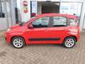 Fiat Panda Lounge Rot - thumbnail 4