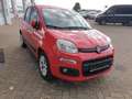 Fiat Panda Lounge Rot - thumbnail 3
