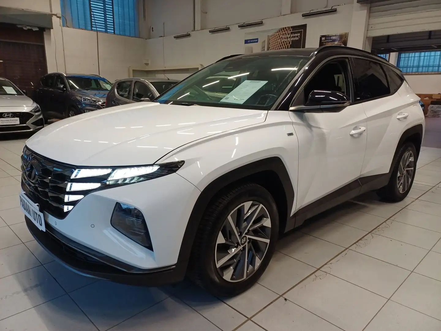 Hyundai TUCSON Tucson 1.6 T-GDI 48V XLine Wit - 2