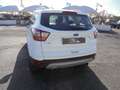 Ford Kuga Kuga II 2017 1.5 tdci Business s Wit - thumbnail 14