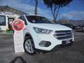 Ford Kuga Kuga II 2017 1.5 tdci Business s Wit - thumbnail 3