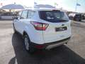 Ford Kuga Kuga II 2017 1.5 tdci Business s Wit - thumbnail 13
