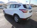 Ford Kuga Kuga II 2017 1.5 tdci Business s Wit - thumbnail 12