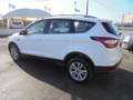 Ford Kuga Kuga II 2017 1.5 tdci Business s Wit - thumbnail 11