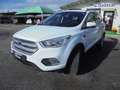 Ford Kuga Kuga II 2017 1.5 tdci Business s Wit - thumbnail 6