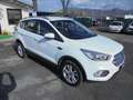 Ford Kuga Kuga II 2017 1.5 tdci Business s Wit - thumbnail 24