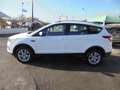 Ford Kuga Kuga II 2017 1.5 tdci Business s Wit - thumbnail 9