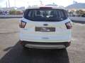 Ford Kuga Kuga II 2017 1.5 tdci Business s Wit - thumbnail 15