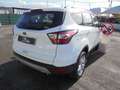 Ford Kuga Kuga II 2017 1.5 tdci Business s Wit - thumbnail 18